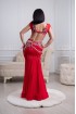 Professional bellydance costume (Classic 298 A_1)